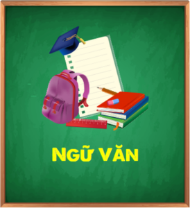 ngữ văn hava