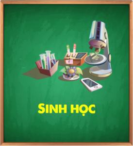 sinh học hava